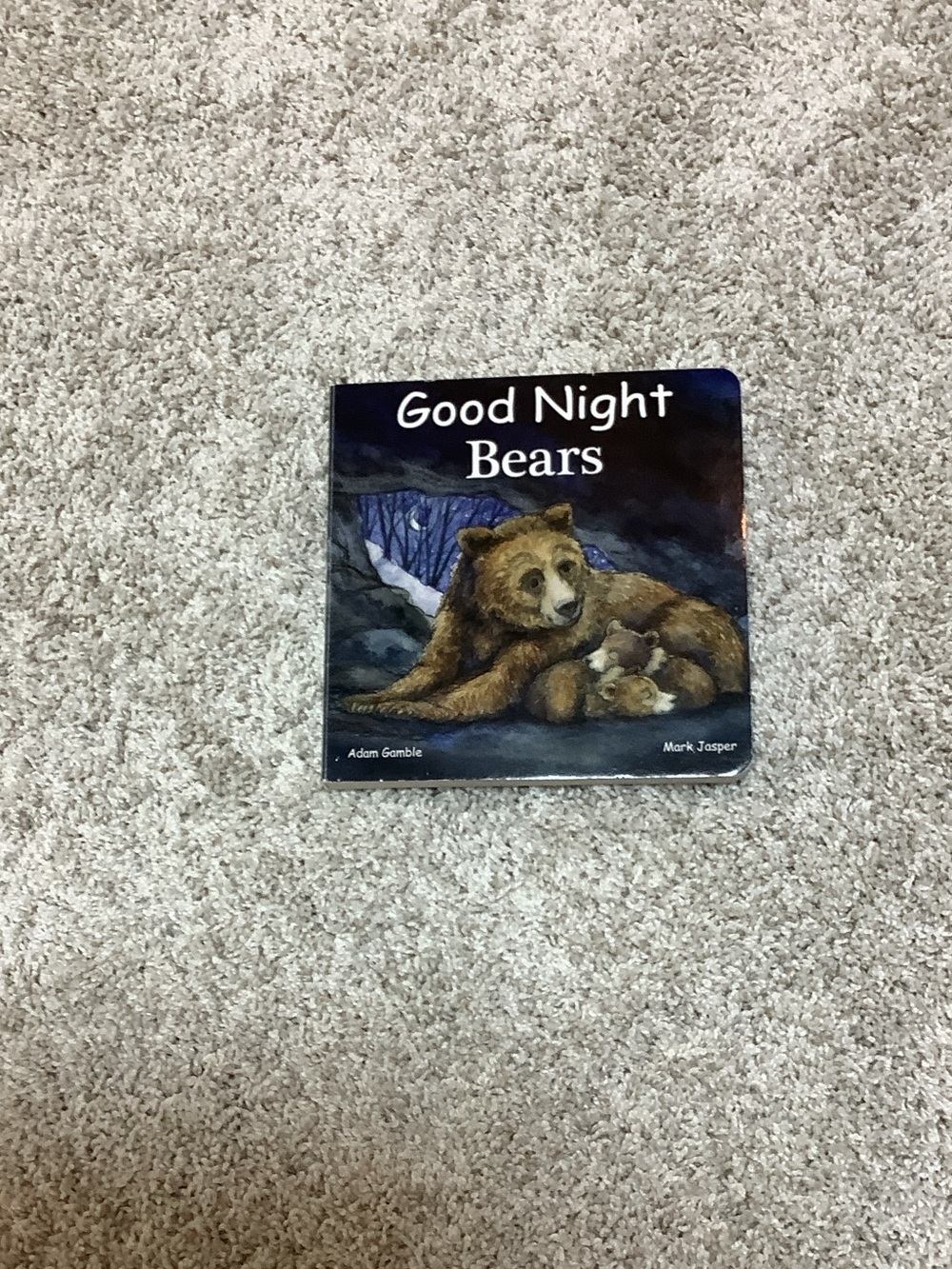 Good Night bears children’s books - Hardcover